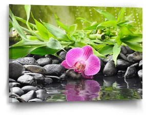 Sablio Obraz Ružová orchidea - 90x60 cm