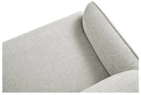 Svetlosivé kreslo Windsor &amp; Co Sofas Neso
