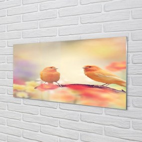 Nástenný panel  farebný papagáj 125x50 cm