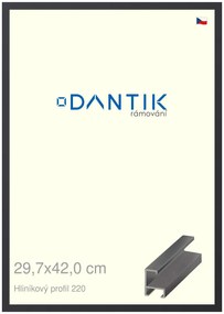 DANTIK rám na obraz 29,7x42 | ALU Černá matná (Plexi Čiré)