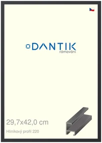 DANTIK rám na obraz 29,7x42 | ALU Černá matná (Plexi Čiré)