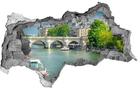 Fototapeta diera na stenu 3D Seine v paríži nd-b-73852810