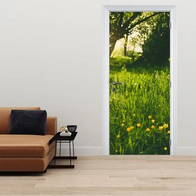 Fototapeta na dvere - Lúka (95x205cm)