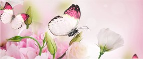 Obraz - Motýľ (120x50 cm)