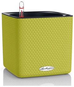 Lechuza Cube Color (Trend) All-in-One set limetkova 14x14x14 cm