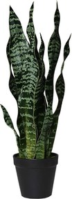Umelá rastlina SANSI, výška 50 cm, plast, zelená