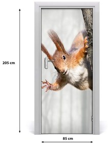 Samolepiace fototapety na dvere Veverička na strome 85x205 cm