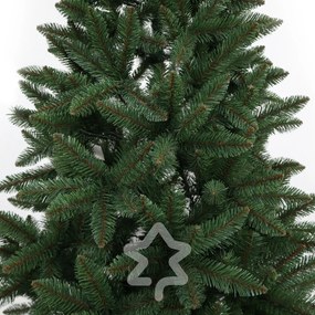 Smrek Kanadský 210 cm