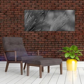 Obraz - Sušená pampová tráva (120x50 cm)
