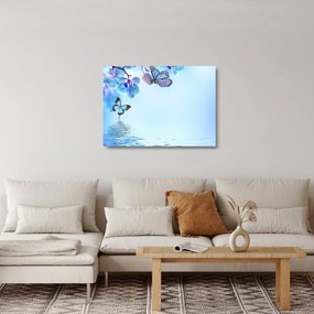 Sklenený obraz - Motýľ na kvetoch orchidey, modrý (70x50 cm)