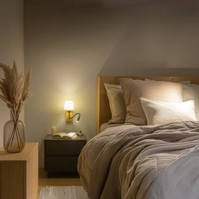 Brilagi - LED Nástenná lampa NUBILA WOOD 1xE27/25W/230V + LED/3W dub/biela