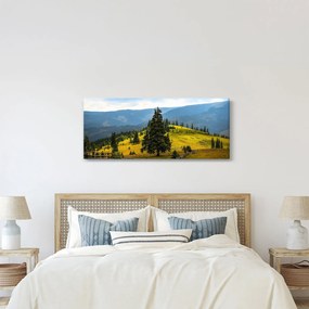 Obraz - Horská lúka (120x50 cm)