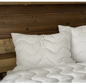 Vankúš Aloe Vera LUXURY Microfiber fabric 90x70cm