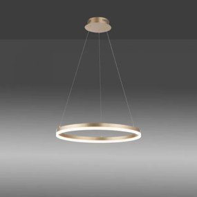 Paul Neuhaus 2382-60 - LED Stmievateľný luster na lanku TITUS LED/38,5W/230V