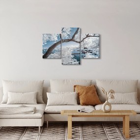 Obraz zasneženého stromu pri vode (90x60 cm)