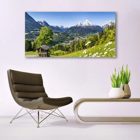 Obraz na akrylátovom skle Hora pole príroda 120x60 cm