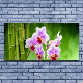 Obraz plexi Bambus orchidea kvety zen 120x60 cm