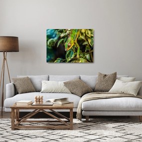 Sklenený obraz chameleóna (70x50 cm)
