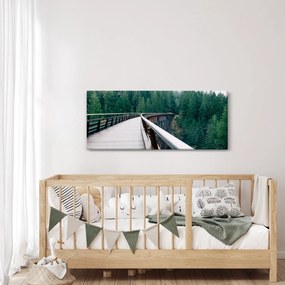 Obraz - Most k vrcholkom stromov (120x50 cm)