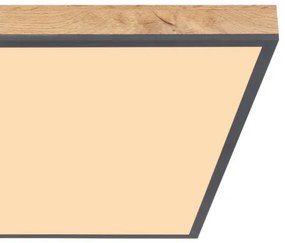 Globo 416080WD3 - LED Stropné svietidlo DORO LED/36W/230V