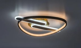 Rabalux 71467 - LED stmievateľné stropné svietidlo BRANTIEL LED/60W/230V 3000-6000K 53x45 cm + diaľkové ovládanie
