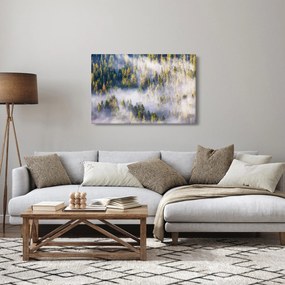 Obraz stromov v hmle (90x60 cm)