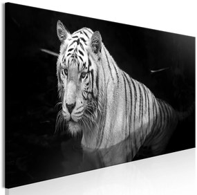 Artgeist Obraz - Shining Tiger (1 Part) Black and White Narrow Veľkosť: 120x40, Verzia: Premium Print