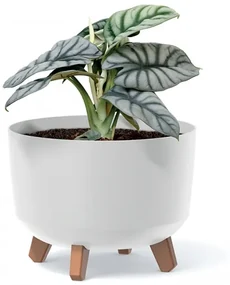 Plastový kvetináč na nožičkách DGRL300LE 28,5 cm - antracit