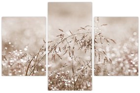 Obraz - Lúka v hnedých tónoch (90x60 cm)
