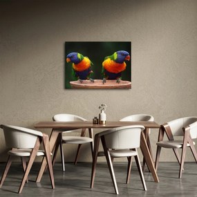 Obraz papagájov (70x50 cm)