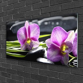 Skleneny obraz Orchidea kamene zen kúpele 120x60 cm