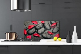 Sklenený obklad Do kuchyne Plátky kamene umenie 120x60 cm