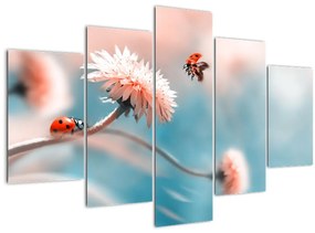 Obraz - Lienky na kvete (150x105 cm)