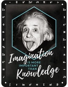Plechová ceduľa Einstein Imagination & Knowledge, (15 x 20 cm)