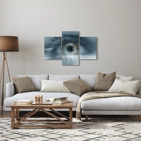 Obraz - Pohľad oka (90x60 cm)