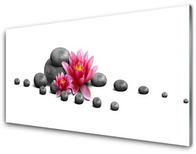 Obraz na akrylátovom skle Kvet kamene umenie 120x60 cm