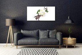 Skleneny obraz Vanilková tyčinka do kuchyne 100x50 cm