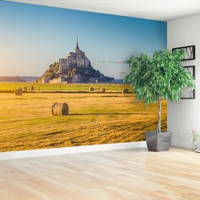 Fototapeta Vliesová Le mont saintmichel 104x70 cm