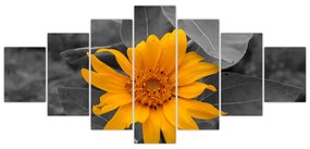 Obraz oranžového kvetu