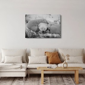 Obraz - Ľadové medvedíky, čiernobiela (90x60 cm)