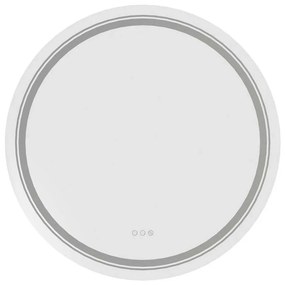 Zrkadlo Amyra s LED osvetlením 80 cm, strieborná