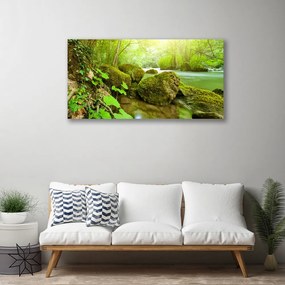 Obraz Canvas Jazero kamene príroda 140x70 cm
