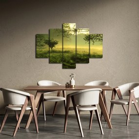 Obraz - Prebúdzajúci sa les (150x105 cm)