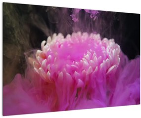 Obraz kvetiny v ružovom dyme (90x60 cm)