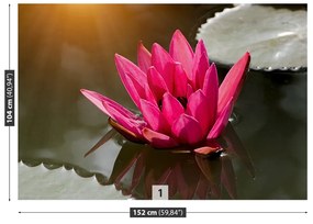 Fototapeta Vliesová Lekno ružový 104x70 cm