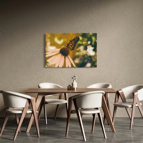 Obraz motýľa na kvetine (90x60 cm)