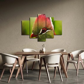 Obraz farebného vtáka (150x105 cm)