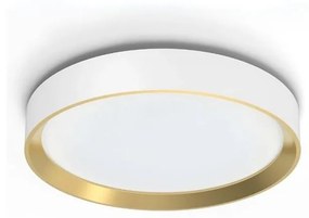 Philips - LED Stmievateľné stropné svietidlo HANNO LED/24W/230V 4000K biela