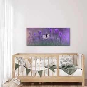 Obraz - Motýľ v levanduli (120x50 cm)