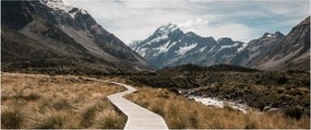 Obraz - Chodník v údolí hory Mt. Cook (120x50 cm)